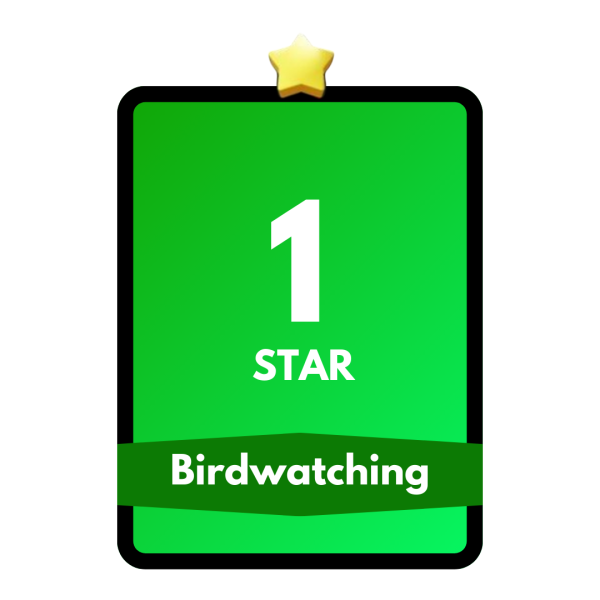 Birdwatching
