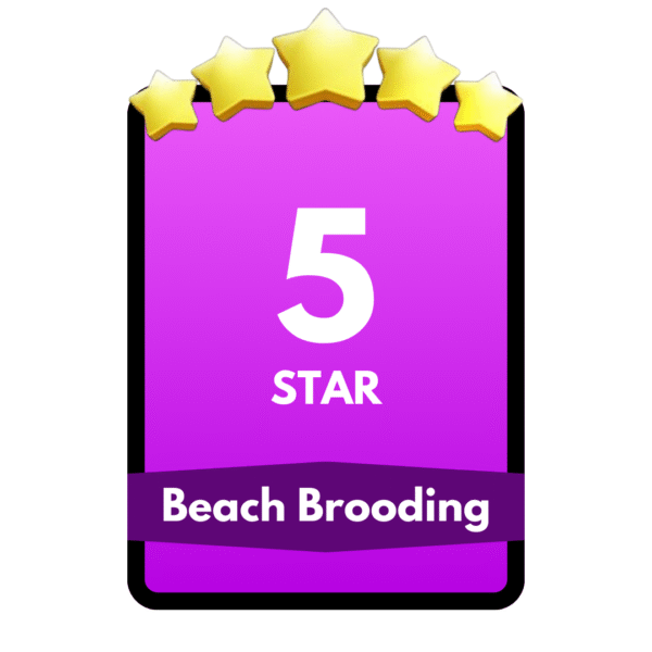 Beach Brooding