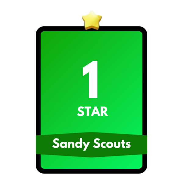 Sandy Scouts