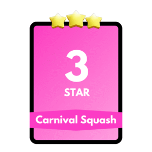 Carnival Squash