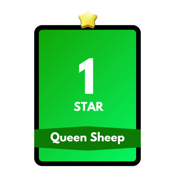 Queen Sheep