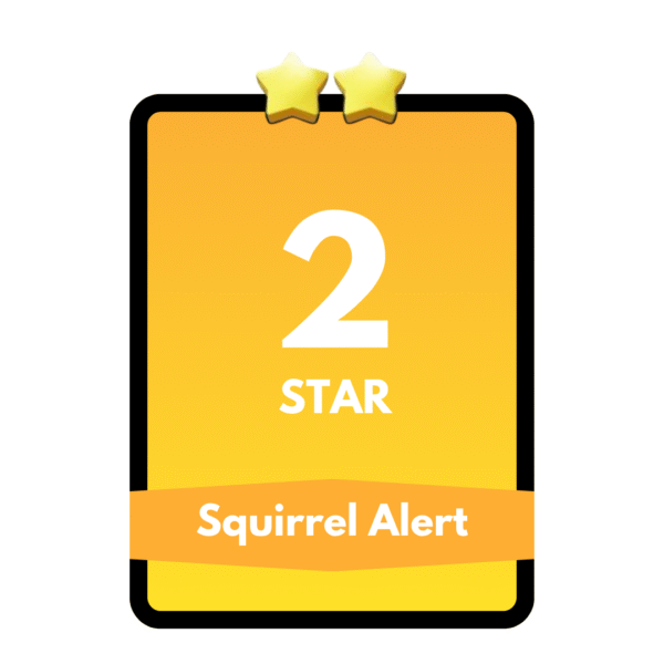Squirrel Alert