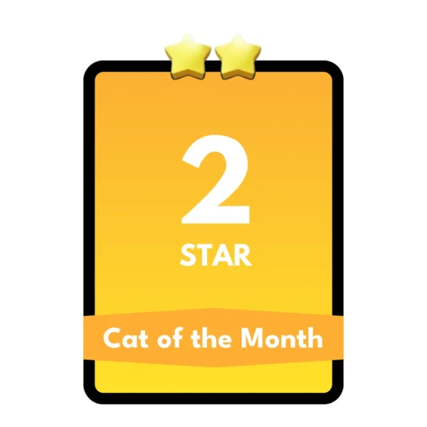 Cat of the Month
