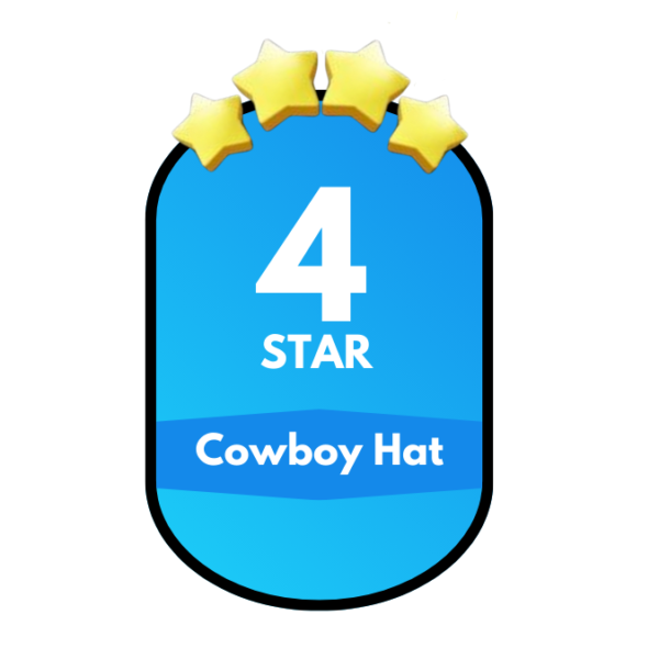 Cowboy Hat